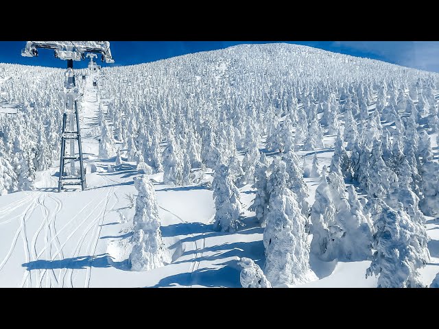 HDR 360° Zao Snow Monsters - Yamagata, Japan 2021