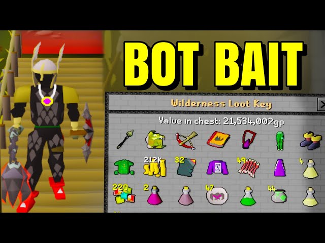 Pkers think im a BOT | Wilderness anti-pking