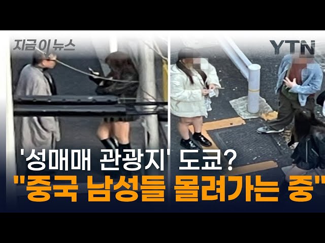 아시아의 '성매매 수도'로 전락? 도쿄의 참담한 현실에 '충격' [지금이뉴스] / YTN