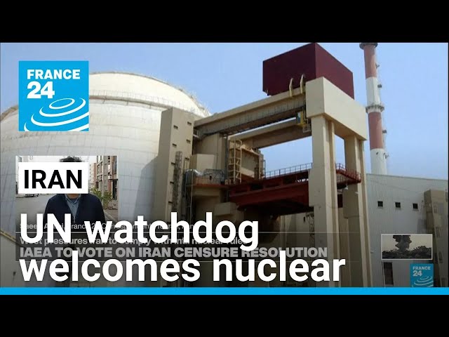 UN watchdog chief welcomes Iran nuclear gesture as Western powers seek censure • FRANCE 24 English