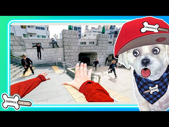 YAKUZA ESCAPE! Japan Parkour POV Chase (Reaction) By Chopsicle The Dog