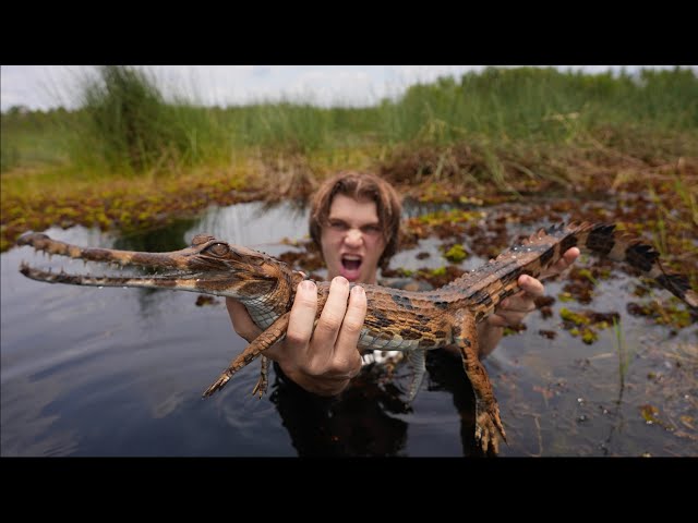 Surviving 3 DAYS in Crocodile INFESTED Swamp of Borneo!