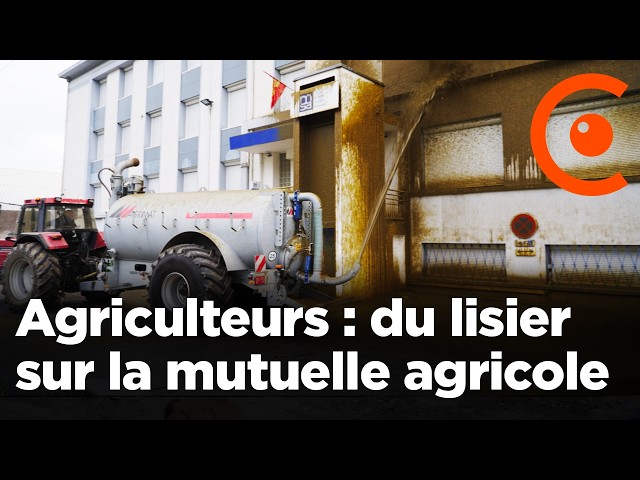 Agriculteurs : du lisier projeté sur la sécurité sociale agricole (MSA) à Agen - 19/11/2024