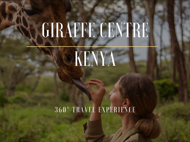 Giraffe Centre Kenya - 3D Travel Experience