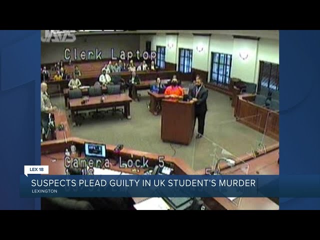 Suspects plead guilty in UK student's murder