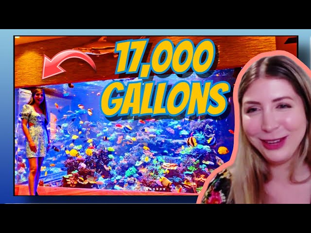 Kaity's Cichlids Describes Her Trip To Andrew Sandler's 17,000 Gallon Reef Tank