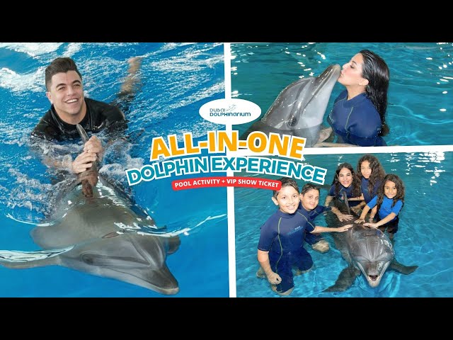 Ultimate Dolphin Adventure · Swim with Dolphins · Dubai Dolphinarium