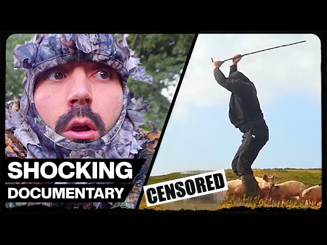 THIS FILM WILL SHOCK THE NATION | ‘HOGWASHED: THE FREE RANGE FAÇADE’ | 2024 DOCUMENTARY