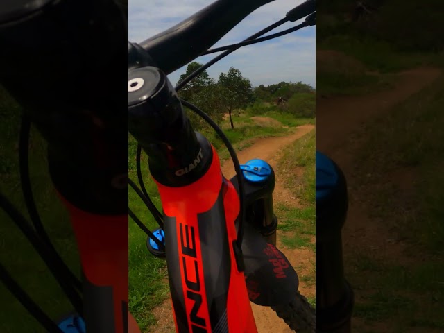 #mtb | Chill flow on Cringila Bucket | 4k GoPro POV