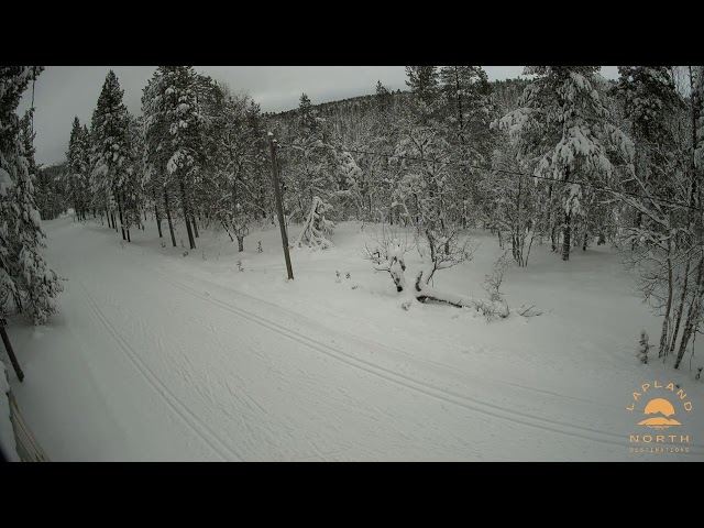 Saariselkä Skiing Track Live stream