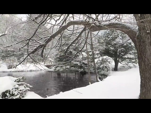 Snow Falling on Lake for 8 Hours (No Music) Relaxing, Sleeping, Meditation, Studying, Baby to Sleep