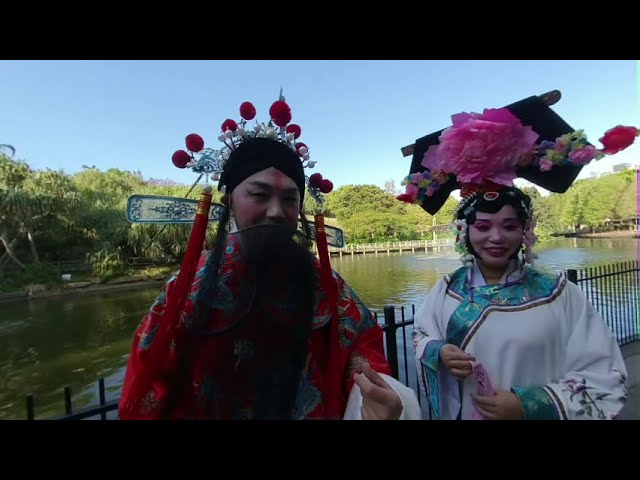 180 VR Life Footage Collage of Close Ups at Mosaic Festival