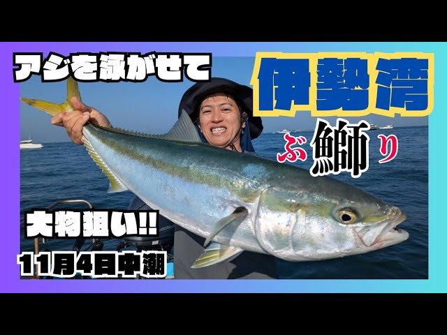 浜名湖で釣ったアジを伊勢湾で泳がせ釣りに🎣朝イチの時合に次から次へと🎣🎣🎣【伊勢湾·三河湾】レンタルボート【キャプテンズ】の高丸で出船🛥️