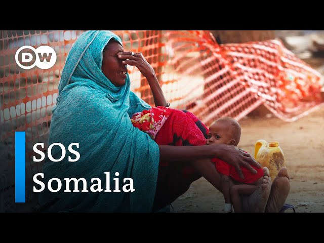 Devastating drought and famine in Somalia | DW Documentary