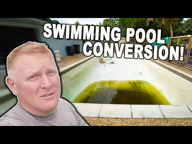 Amazing *POOL to POND CONVERSION* with a Wetland Filter