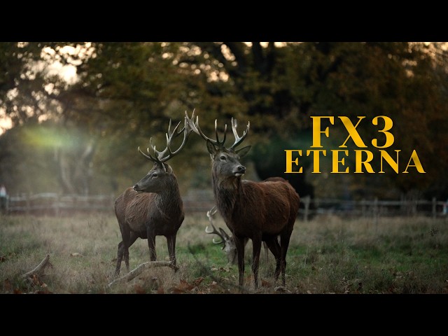 Sony FX3 Cinematic video - Eterna Film look