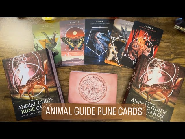 Animal Guide Rune Cards |⭐️New Release⭐️| Full Flip Through