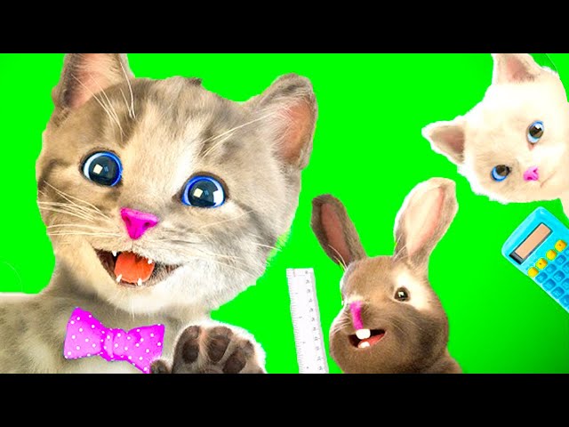 SCHOOL LITTLE KITTEN ADVENTURE CARTOON EDUCATIONAL VIDEO - SONGS AND LEARN TO COUNT COLORS