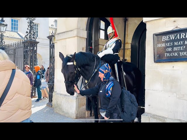 She Keeps Encouraging People To Touch The Horse