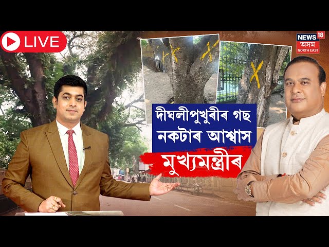 LIVE | CM Himanta Biswa Sarma Tweet on Dighalipukhuri | দীঘলীপুখুৰীৰ গছ নকটাৰ আশ্বাস | N18L