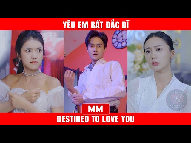 Destined To Love You | The Best CEO Action Movie Of 2024 | Asia Movies HUB