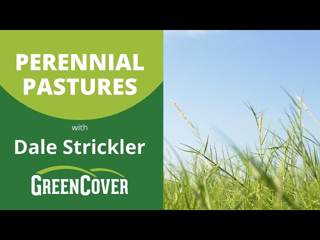 Perennial Pastures with Dale Strickler