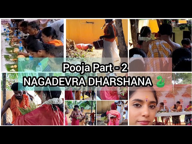 Malenadina Nagadevra Dharshina🐍|Special Pooja Vibes🙏#vlog#pooja#dhaiva #daivakola #daivaradane #naga