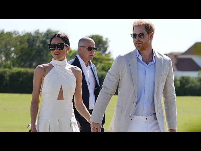 Prince Harry and Meghan Markle’s ‘polarising’ new reality show