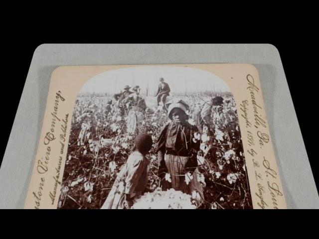 A Morning's Work in a Cotton Field, c. 1899 (silent, still image)