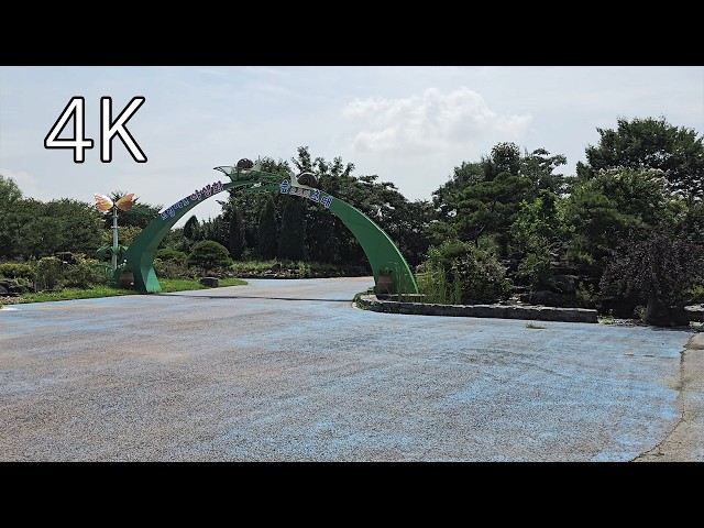 Walk through the Dream Park Wildflower Garden built on a landfill, Incheon - 4K Walking Tour