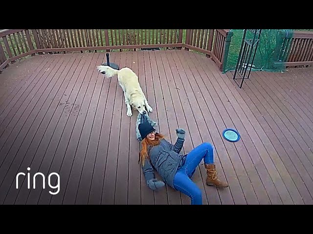 When Pets Go Wild | RingTV