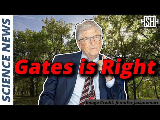 “Are we the idiots?” – Bill Gates on Planting Trees