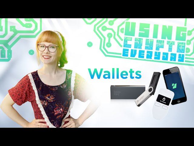 Beginner's Guide to Crypto Wallets (2022)