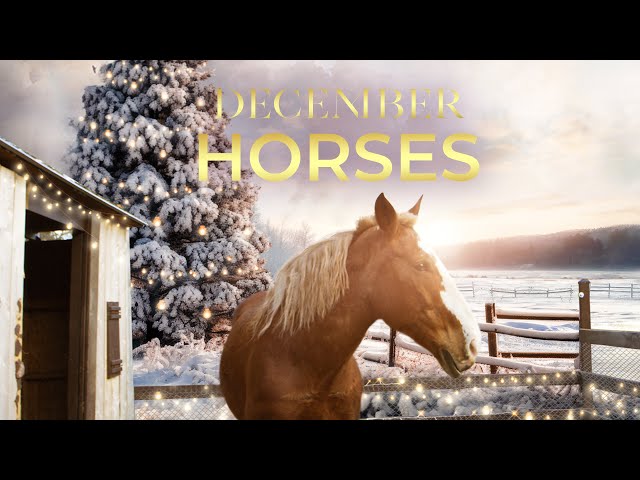 December Horses (2024) Full Movie | Christmas Family Drama