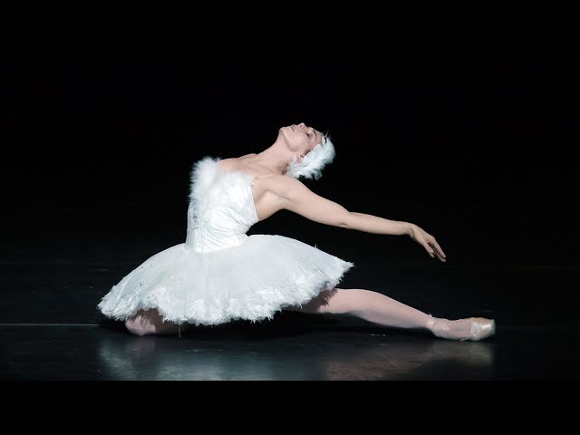 The Dying Swan – Natalia Osipova (The Royal Ballet)