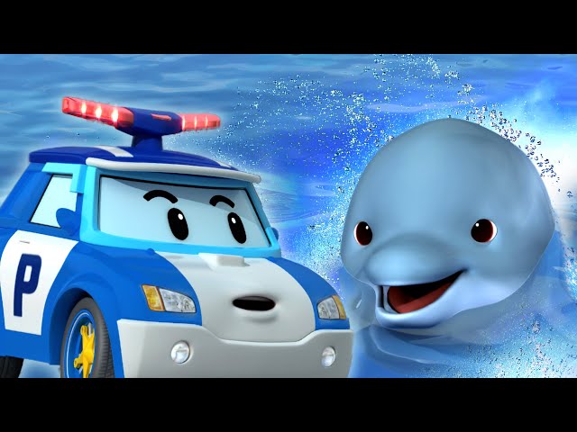 Hayvan Dostlarım│2 Saatlik Derleme│çocuk karikatür│Yunusları Koruyun│Robocar POLI çizgi film