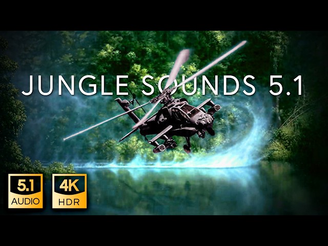 5.1 Jungle Sound | THX Surround-EX | 4K HDR