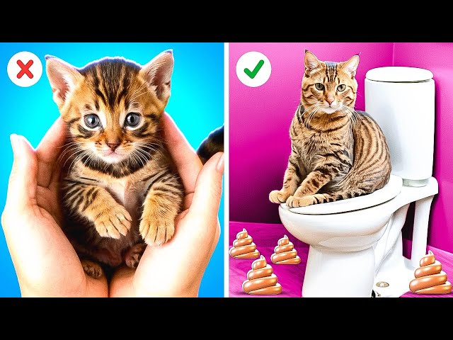 MEOW 🐱Building Secret Cat House ! DIY Room Makeover and Hacks