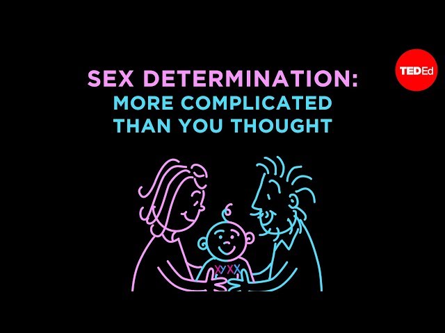 Sex Determination: More Complicated Than You Thought