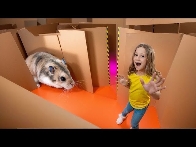 Nastya and the hamsters escape from the cardboard maze.