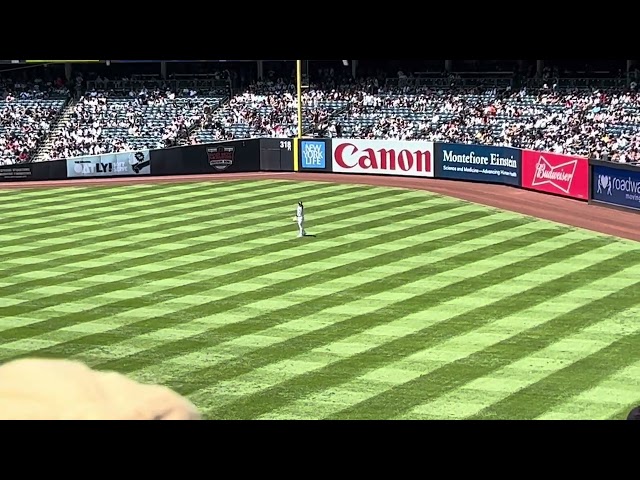 New York Yankees Bleacher Creatures Roll Call 7/23/23 vs Kansas City Royals