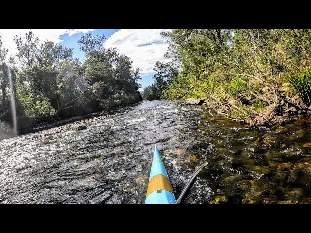 Barrington River Kayaking - Rocky Crossing to Barrington Bridge