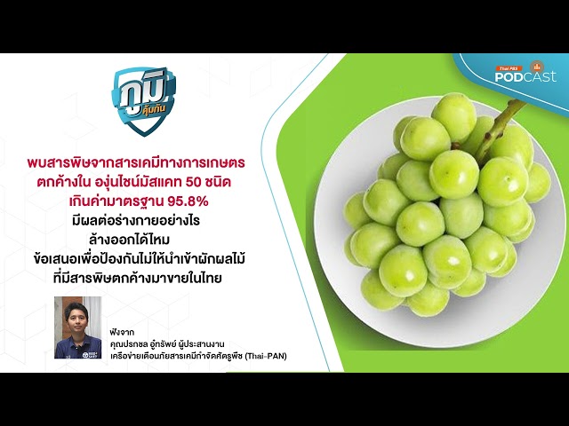 สารพิษตกค้างในองุ่นไชน์มัสแคท | ภูมิคุ้มกัน