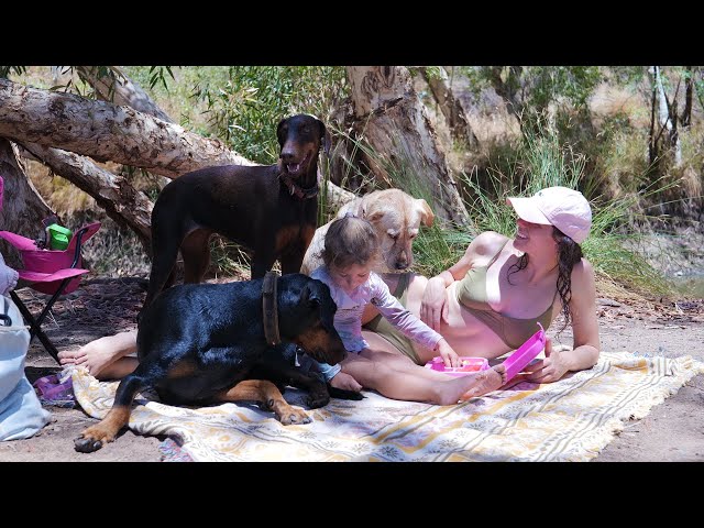 Green Pool | Pilbara Swimming Holes | Family Fun Day