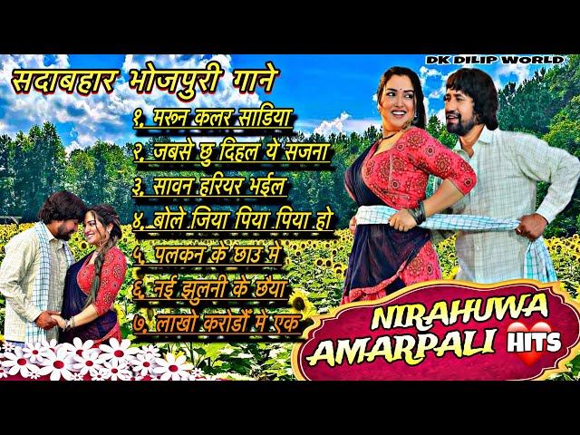 #video | Dinesh Lal Yadav & Amrapali Dubey Song 2024 | #dineshlalyadav #amrapalidubey #bhojpurisong