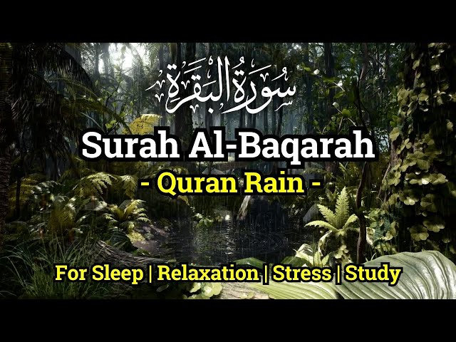 Surah Al-Baqarah (سورة البقرة) - Lofi Quran Recitation with Rain Sounds for Sleep