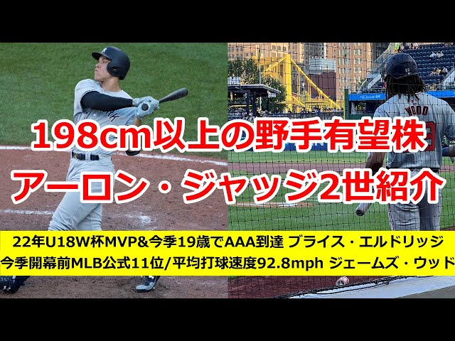 【MLB】198cm以上の野手有望株/アーロン・ジャッジ2世紹介【ジェームズ・ウッド/ブライス・エルドリッジ/チャーリー・コンドン】