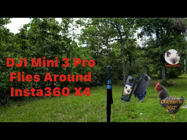 DJI Mini 3 Pro In Yard 360 8K