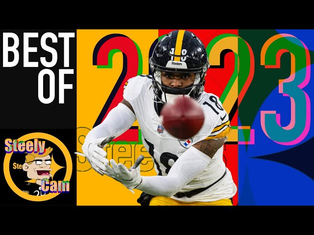 Diontae Johnson: Best of 2023 [4K]