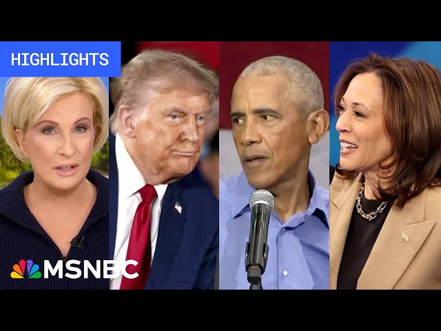 Countdown to the 2024 election: Day 24 | MSNBC Highlights